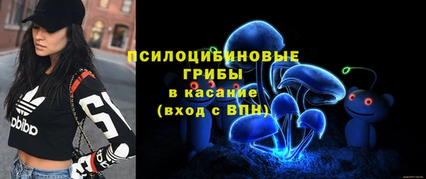 mdpv Белокуриха