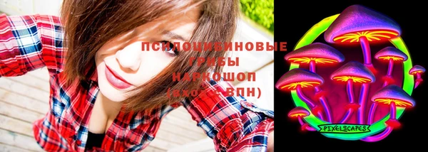 дурь Белоозёрский