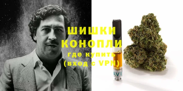 mdpv Белокуриха