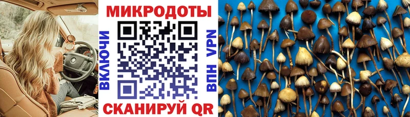 Галлюциногенные грибы мухоморы  Купить  Димитровград 